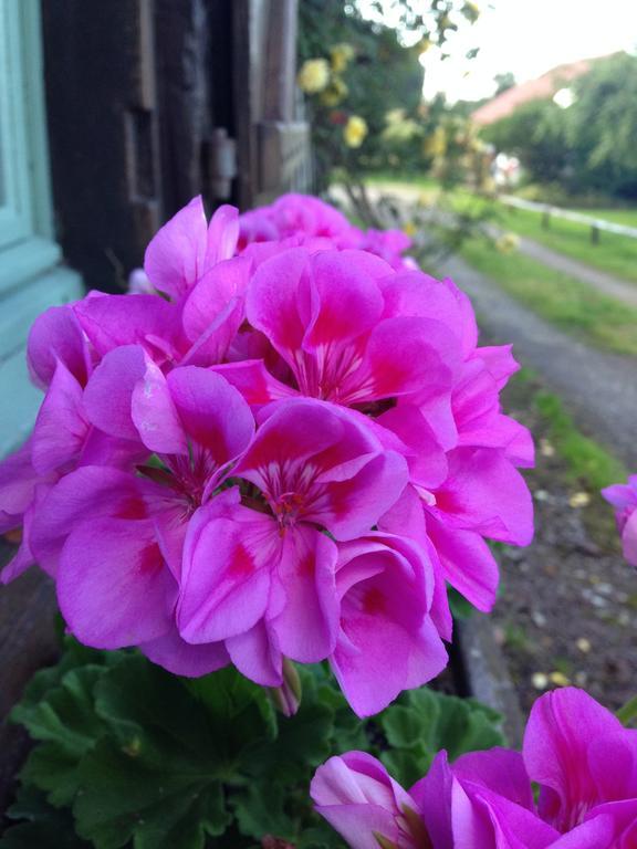 Vieux-Pont La Baronnie Bed & Breakfast エクステリア 写真